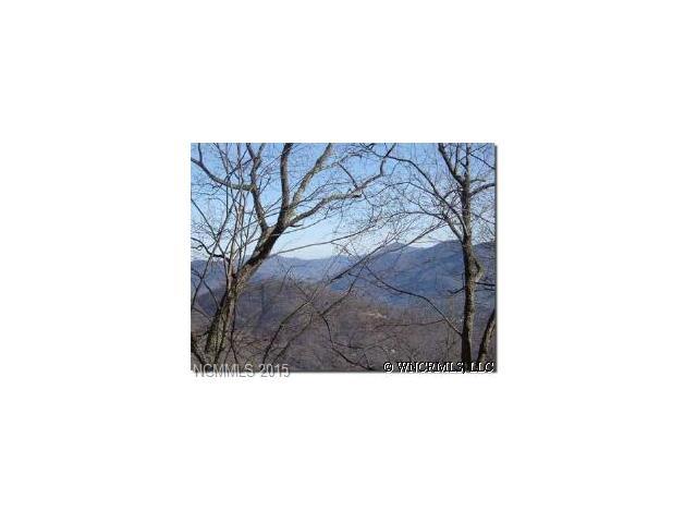 321 Running Deer Trail - Photo 1