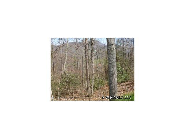 Lot #1 Harleys Cove Road - Photo 1