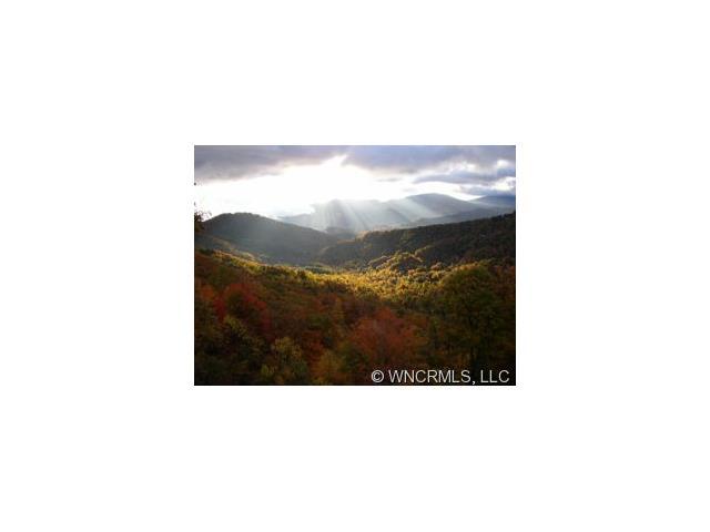 LOT 342 Running Deer Trail - Photo 1