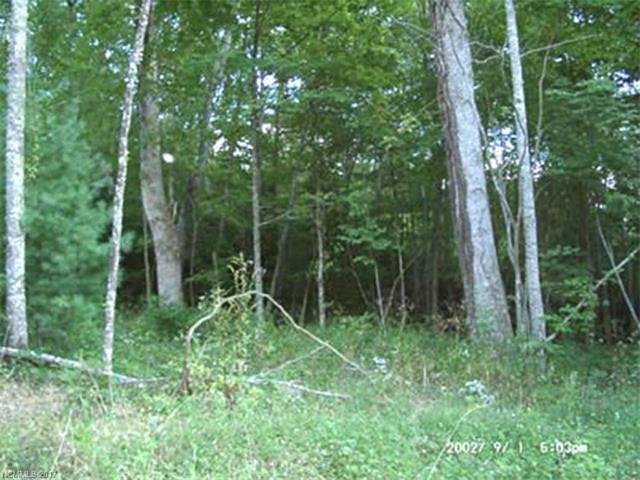 Lot 5 Happy Hollow Road - Photo 1 Lot 5 Happy Hollow Road - Photo 1