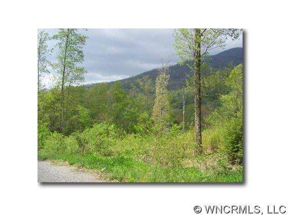 Lot 9 Hare Hollow Road - Photo 1