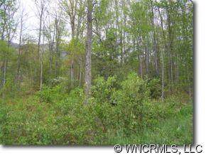 Lot 9 Hare Hollow Road - Photo 1