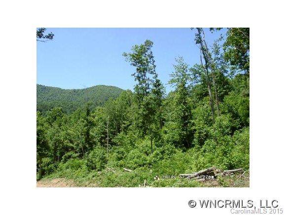 Lot 10 Hare Hollow Road - Photo 1