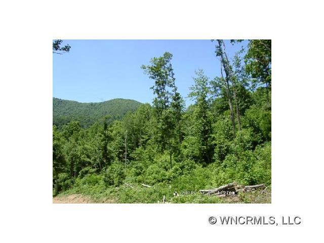 Lot 10 Hare Hollow Road - Photo 1