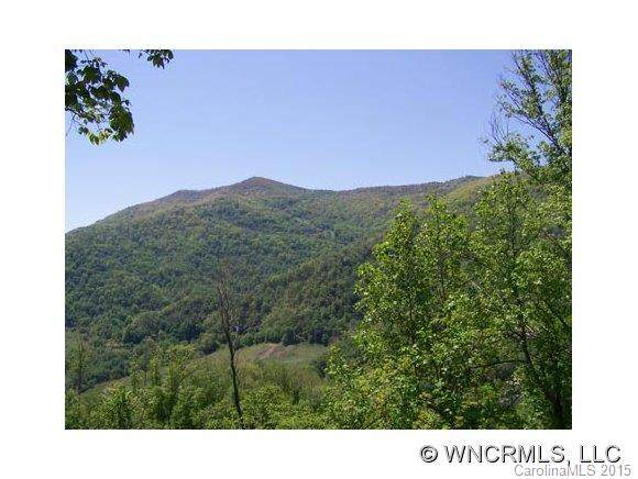 Lot 12 Hare Hollow Road - Photo 1