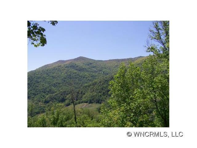 Lot 12 Hare Hollow Road - Photo 1