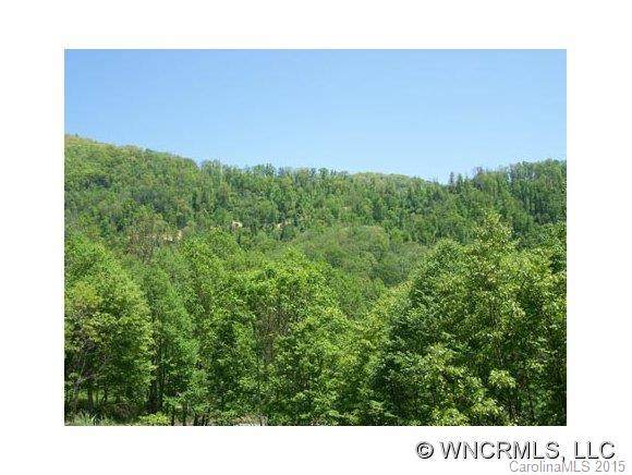 Lot 13 Polk Berry Lane - Photo 1