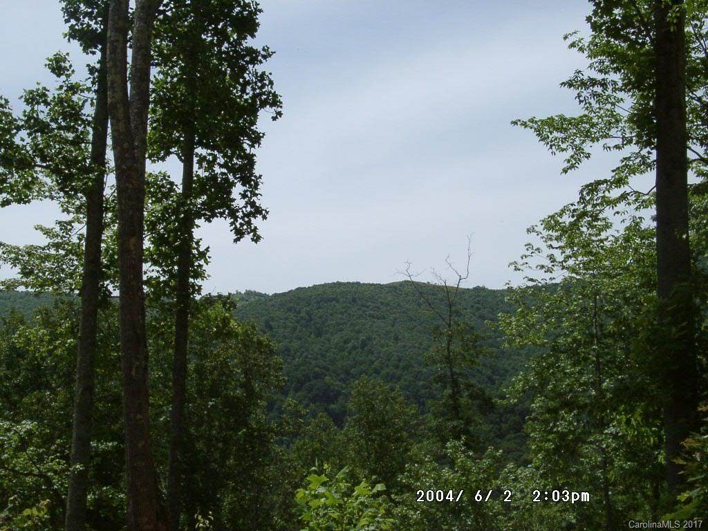 Lot 14 Happy Hollow Road - Photo 1
