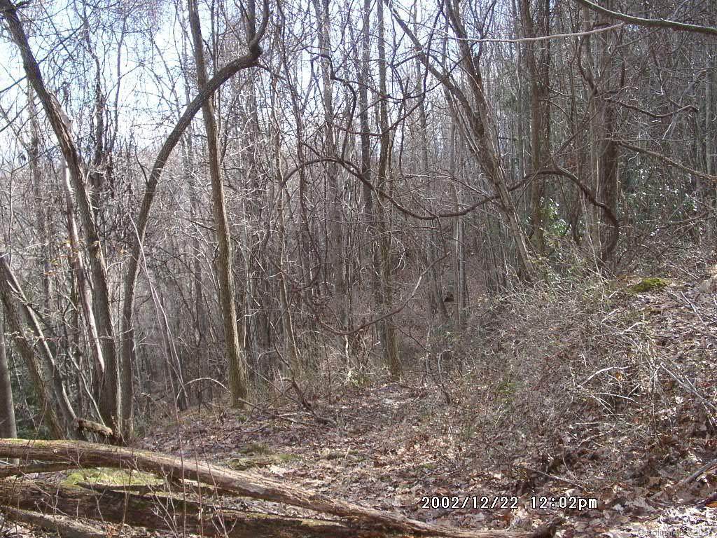 25 Running Deer Lane - Photo 1