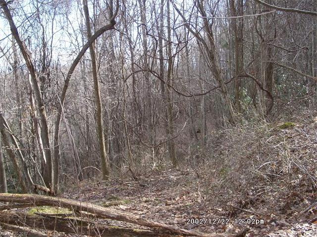 25 Running Deer Lane - Photo 1