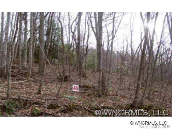 44 Cabin Creek Trail - Photo 1