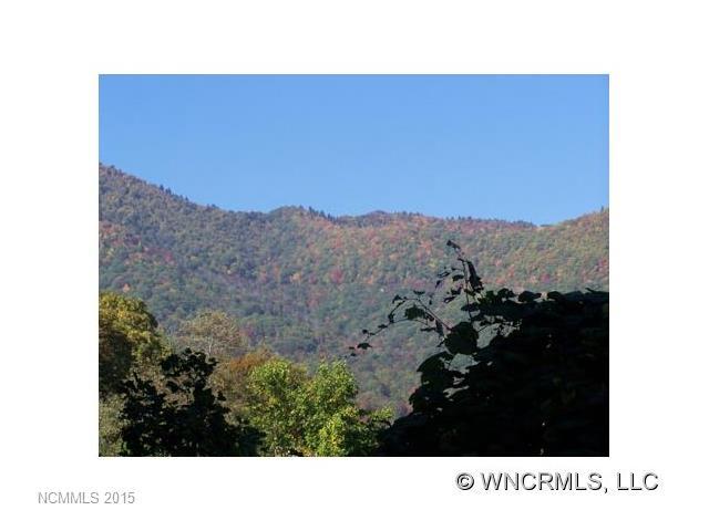 000 Running Deer Trail - Photo 1