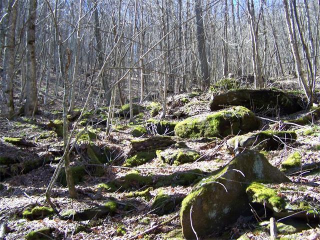 000 Serenity Mountain Road - Photo 1