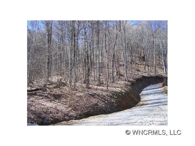 000 Serenity Mountain Road - Photo 1