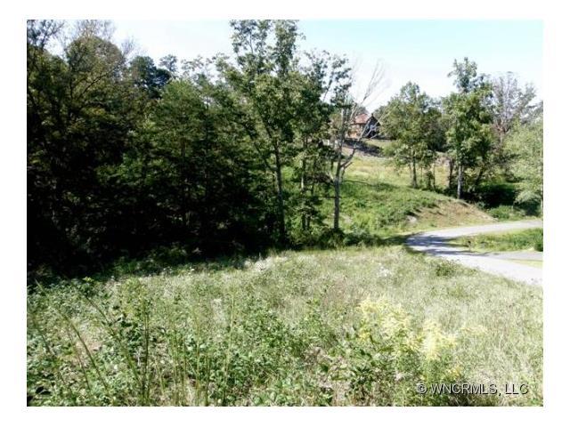 Lot #12 Magnolia Farms Drive - Photo 1