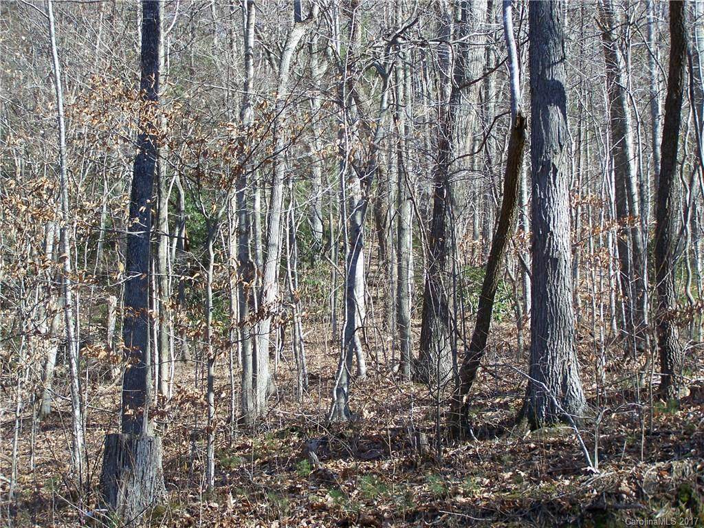 Lot 99 Whispering Woods Path - Photo 1