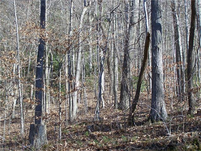 Lot 99 Whispering Woods Path - Photo 1