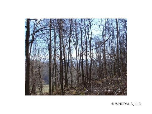 11 Running Deer Lane - Photo 1