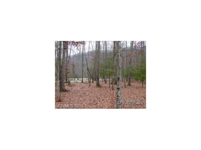 75 Running Creek Trail - Photo 1