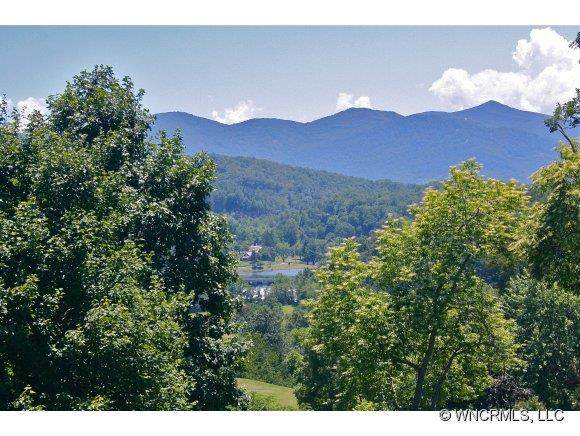 229 Luska Ridge - Photo 1