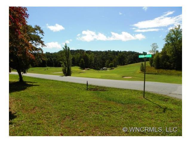 Lot 1A Charlotte Drive - Photo 1