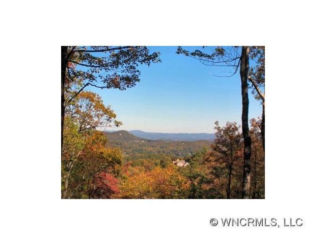 Lot 24 Toxaway Court - Photo 1