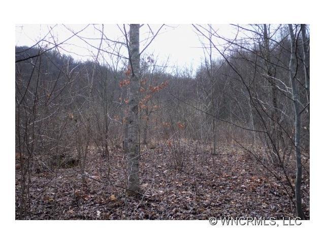 00 Off Hwy 209 Highway - Photo 1