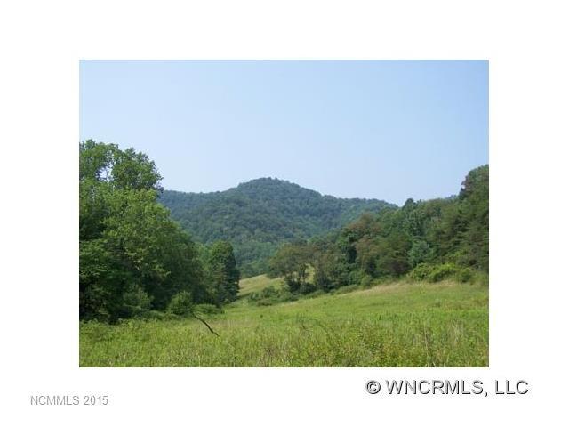 000 Smoke Vine Lane - Photo 1