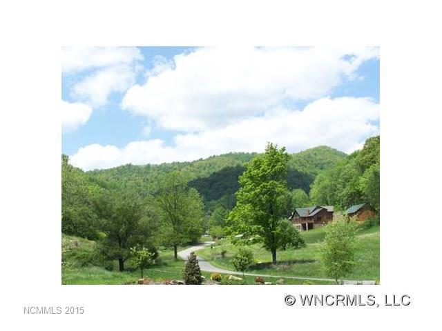 000 Smoke Vine Lane - Photo 1