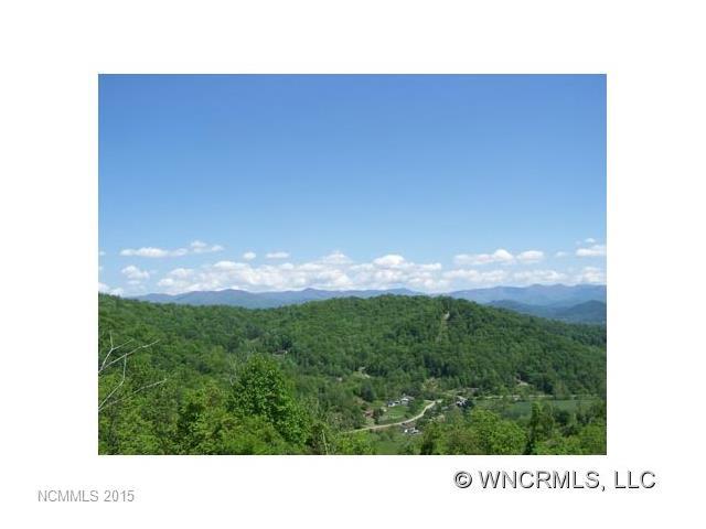 000 Smoke Vine Lane - Photo 1