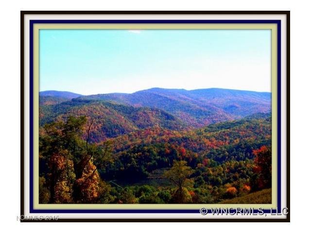 1314 Russ Norris Road Road - Photo 1