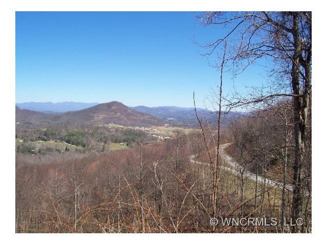 1325 Double Knob Road - Photo 1