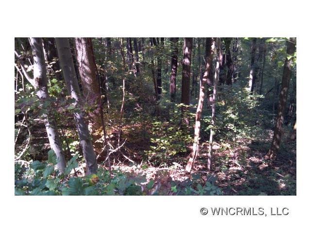 0 Hogback Mountain Rd. - Photo 1