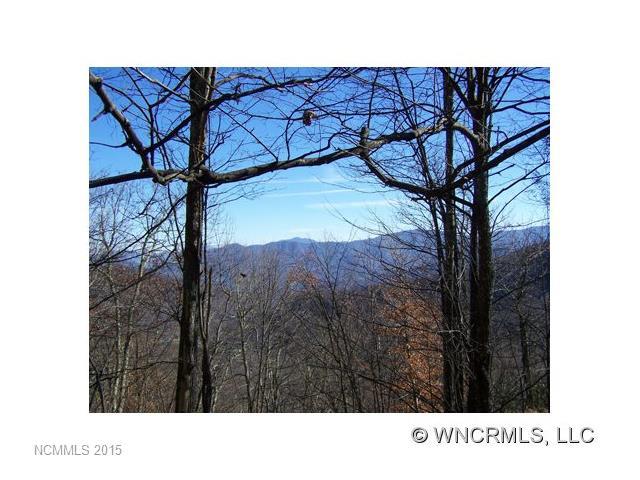 Lot 343 A&B Running Deer Trail - Photo 1