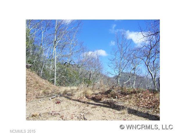 Lot 344 A&B Running Deer Trail - Photo 1