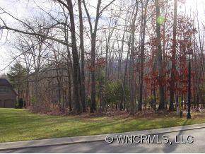 70 Running Creek Trail - Photo 1