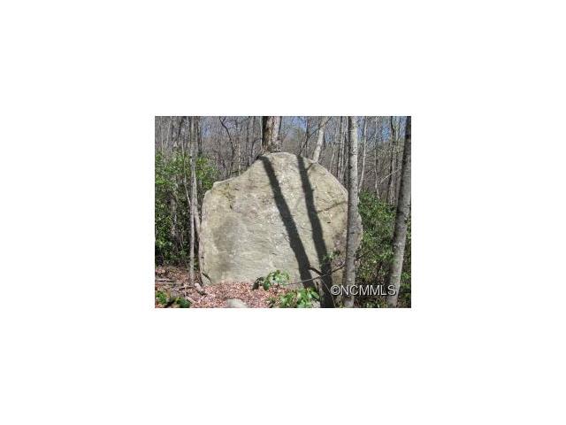 2400 Big Branch Road - Photo 1
