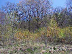 Lot 17 Butternut Trail - Photo 1