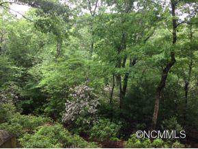 12 Falling Waters Trail - Photo 1