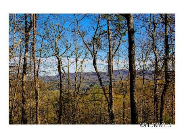M79 Pine Mountain Trail - Photo 1