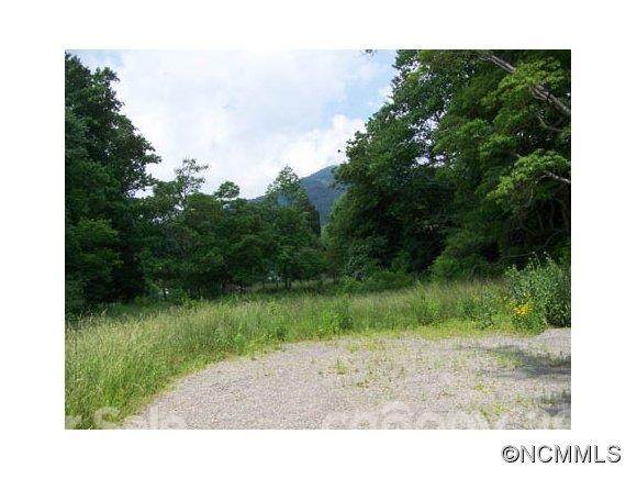 Lot 1 Turtle Rock Lane - Photo 1