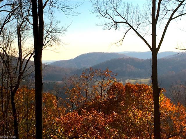 46 Raven Cliff Lane - Photo 1