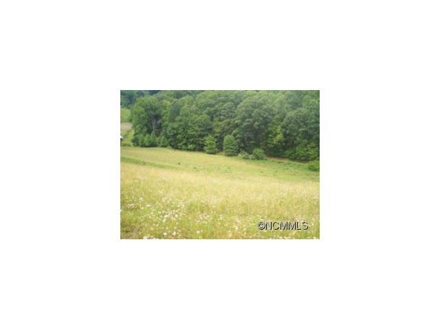 00 Bad Creek Road - Photo 1