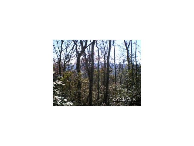 M21 Elk Mountain Trail - Photo 1