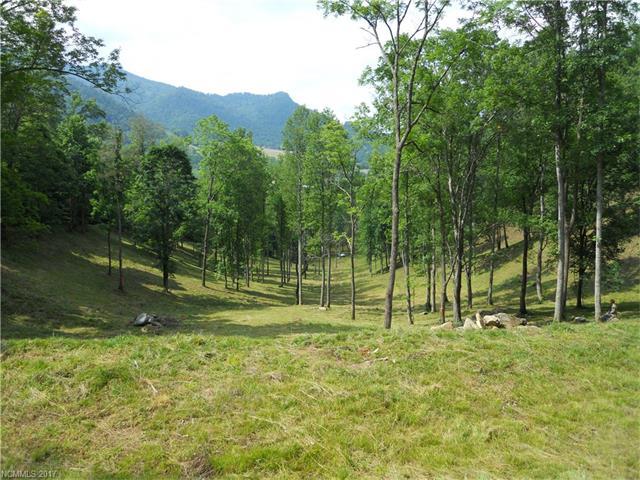 000 Betsys Gap Road - Photo 1