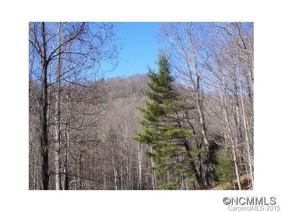 Lot 100 Whispering Woods Path - Photo 1