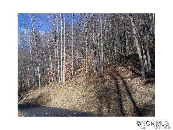 Lot 100 Whispering Woods Path - Photo 1