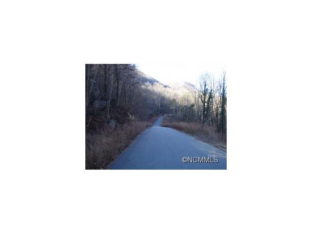 0000CC Fall Creek Drive Drive - Photo 1