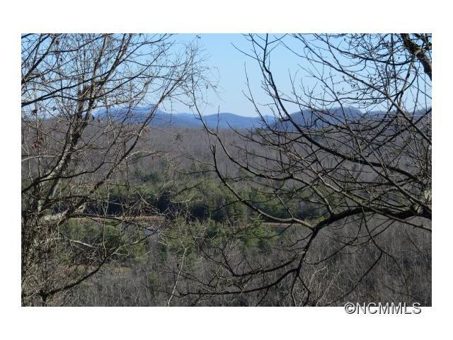 212 West Chesnut Ridges Road - Photo 1