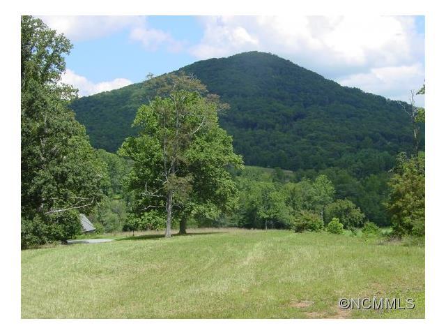 470 Walnut Valley Parkway - Photo 1